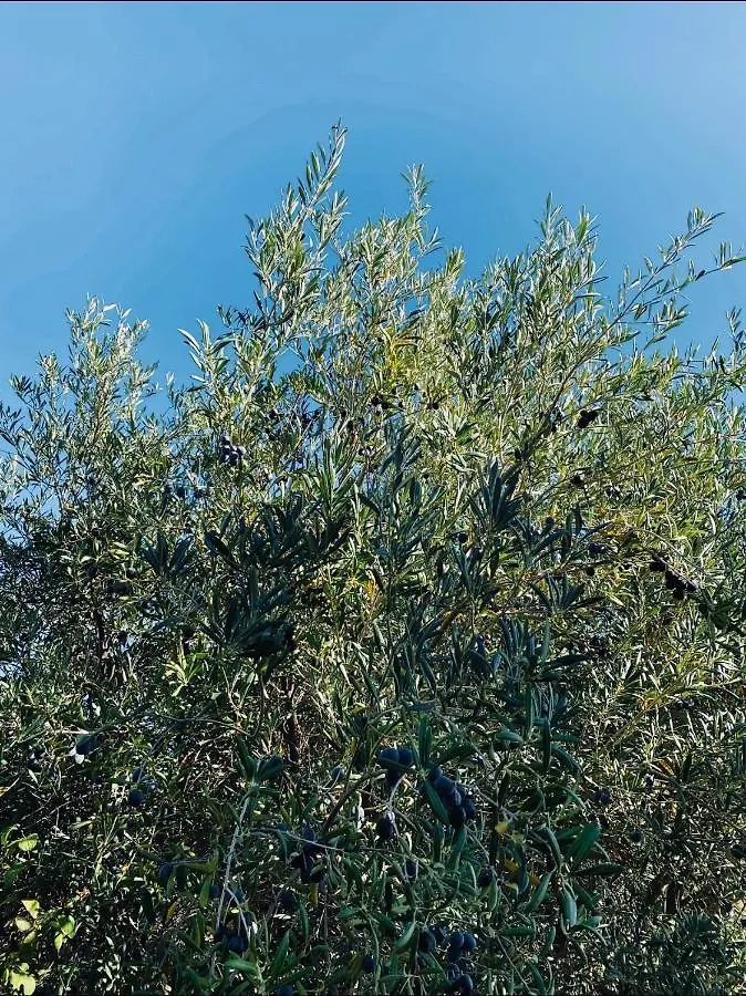 Cortijo Cantalobos Almuñécar 0*,